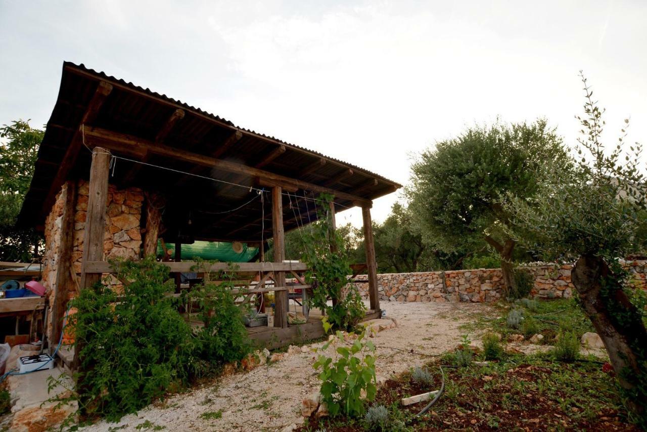 Luxury Apartments Boduja Sukošan 外观 照片